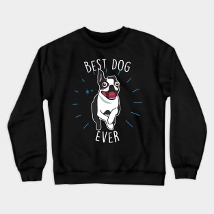 Boston Terrier Best Dog Crewneck Sweatshirt